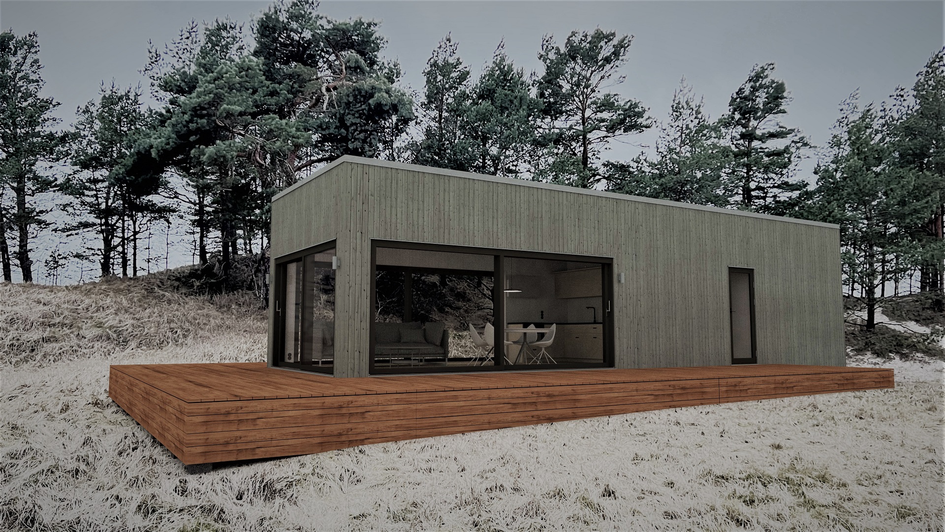 50m2_gray_Modern style 1_Modular house_Baltic House Systems